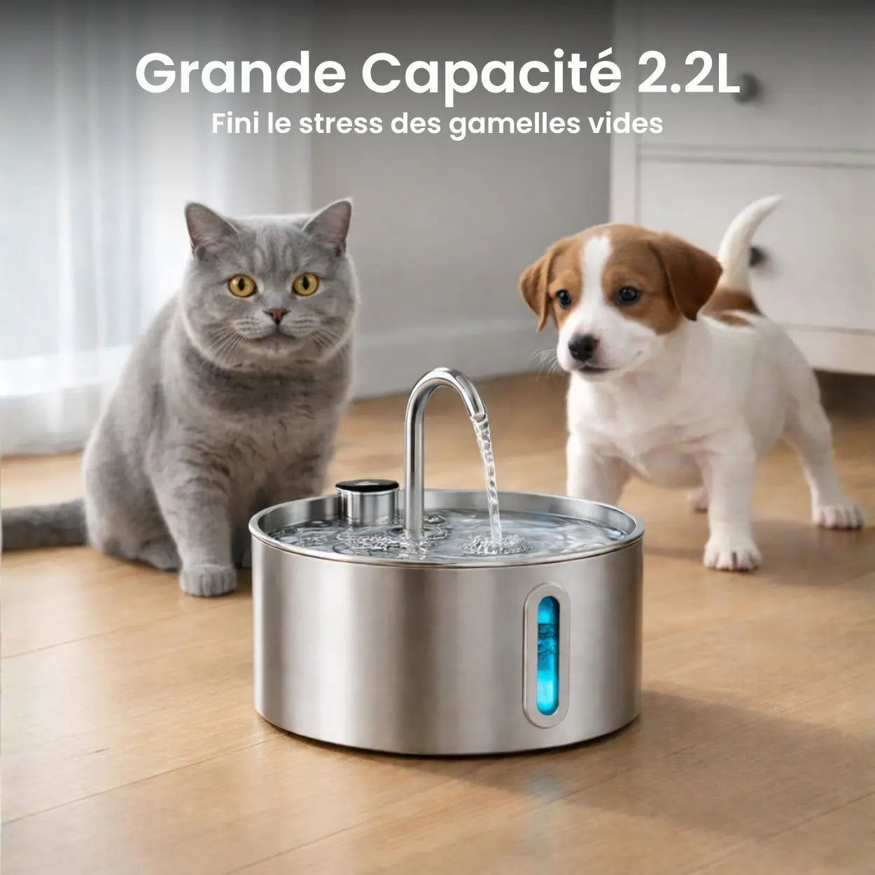 Fontaine à Eau pour Chat et Chien — Acier Inoxydable 304, Grande Capacité 2.2L, Silencieuse, Indicateur LED Moustache & Cie