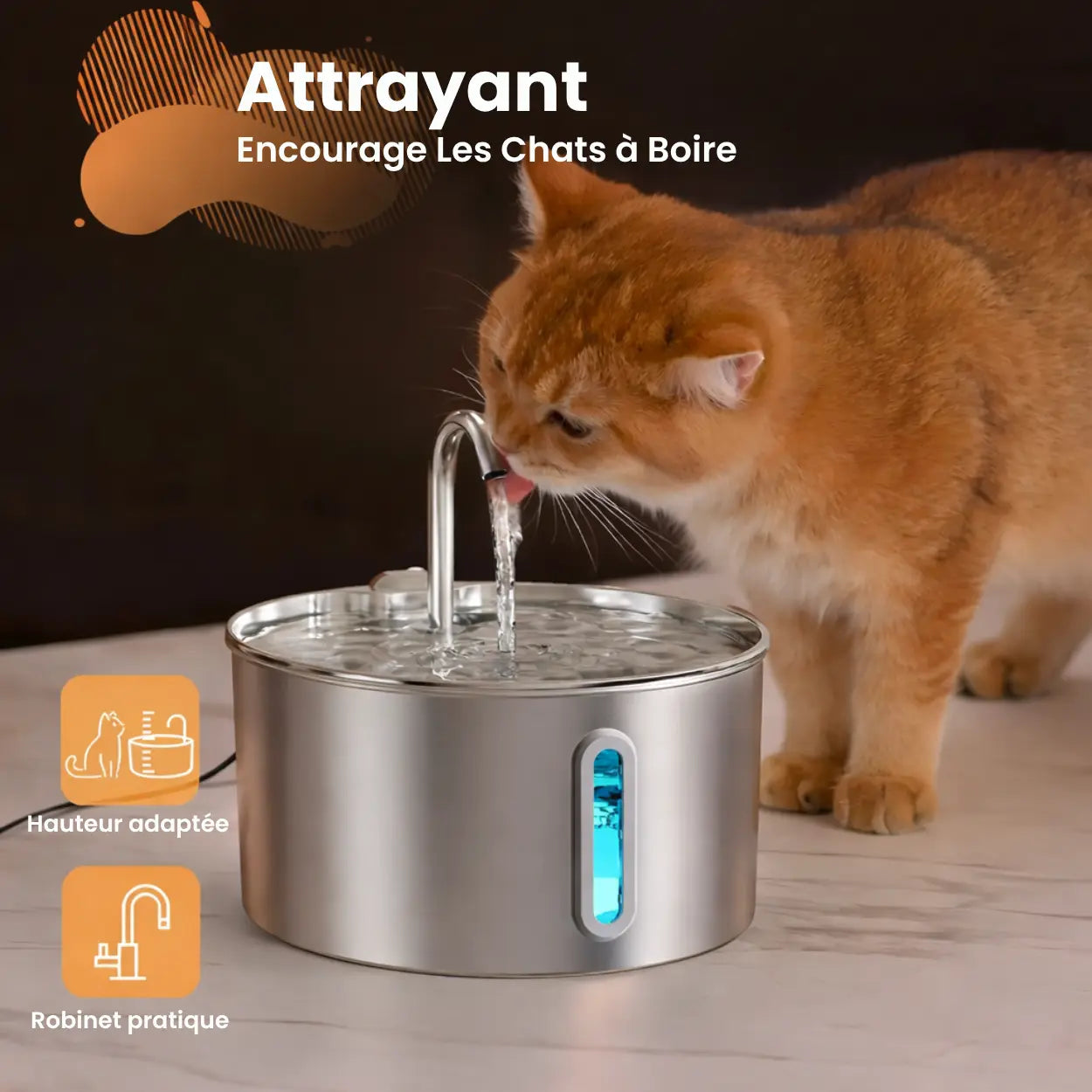 Fontaine à Eau pour Chat et Chien — Acier Inoxydable 304, Grande Capacité 2.2L, Silencieuse, Indicateur LED Moustache & Cie