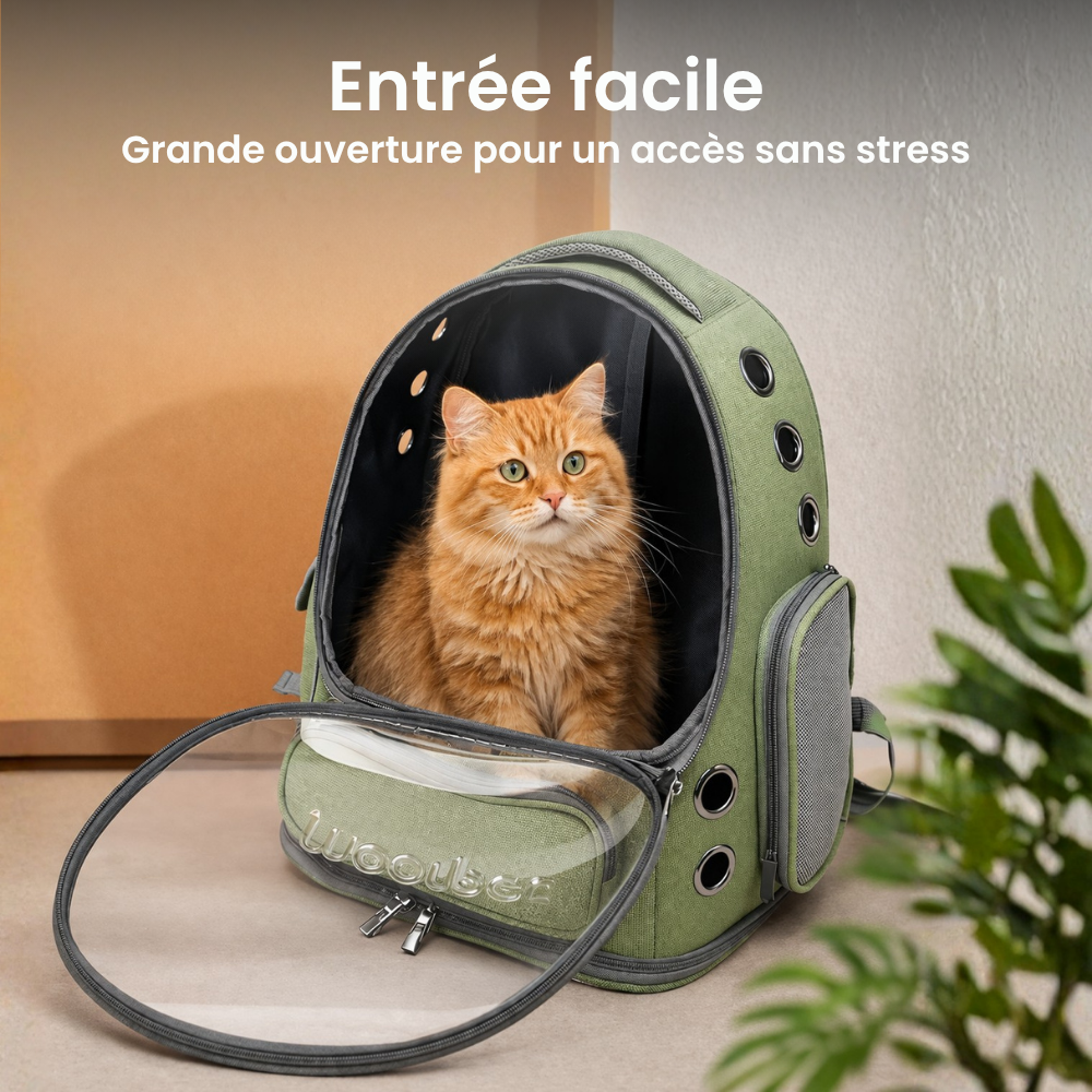 Sac de Transport pour chat et chien | Sac à Dos avec Capsule Transparente, Respirant, Compatible Cabine Avion. Moustache & Cie