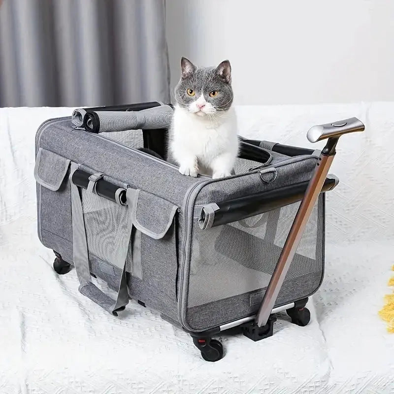 Sac de transport pour chat à roulettes – style valise, confortable et pratique Moustache & Cie