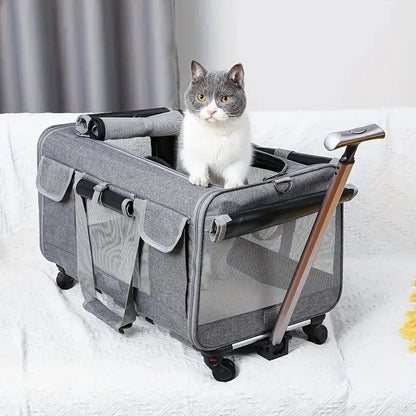 Sac de transport pour chat à roulettes – style valise, confortable et pratique Moustache & Cie