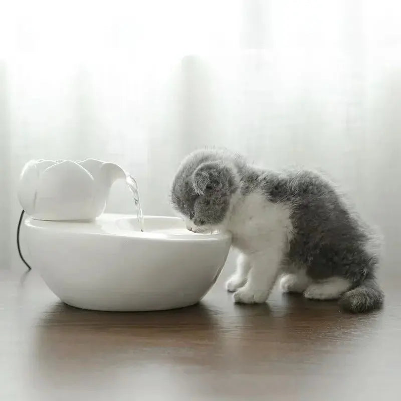 Fontaine à Eau pour Chat en Céramique – Design Coloré, Écoulement Doux, Hygiénique & Stable Moustache & Cie