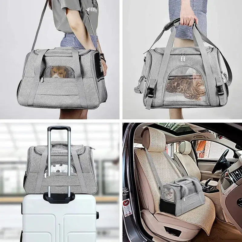 Sac de transport pour animaux de compagnie – confortable, respirant et sécurisé Moustache & Cie