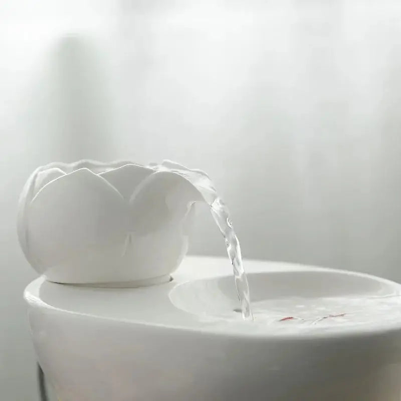 Fontaine à Eau pour Chat en Céramique – Design Coloré, Écoulement Doux, Hygiénique & Stable Moustache & Cie