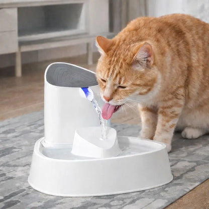 Fontaine à eau pour chat | StreamArc Fountain™ Moustache & Cie