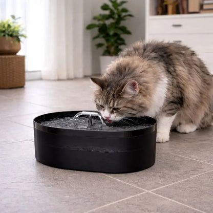 Fontaine à Eau pour Chat Silencieuse – 2,2L, Format Compact & Stable Moustache & Cie