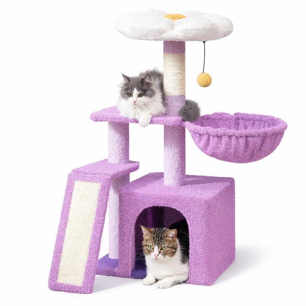 Arbre à chat Pongo 80 cm Moustache & Cie