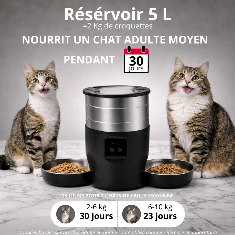 Distributeur de croquettes connecté double | Moustache & Cie Moustache & Cie