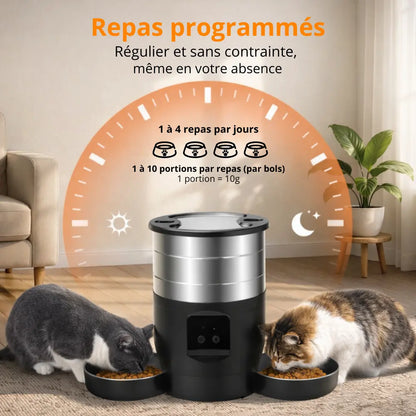 Distributeur de croquettes connecté double | Moustache & Cie Moustache & Cie