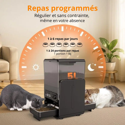 Distributeur automatique de croquettes double – programmation manuelle | Moustache & Cie Moustache & Cie
