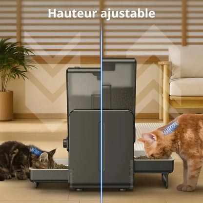 Distributeur automatique de croquettes double – programmation manuelle | Moustache & Cie Moustache & Cie