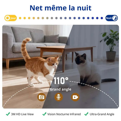 Distributeur de croquettes 6.5L connecté avec caméra | Moustache & Cie Moustache & Cie