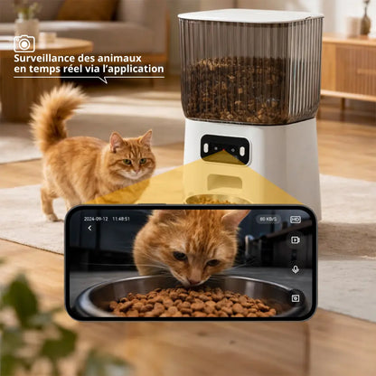 Distributeur Automatique de Croquettes Connecté avec Caméra — Réservoir 5L, Programmable, Acier Inoxydable Moustache & Cie
