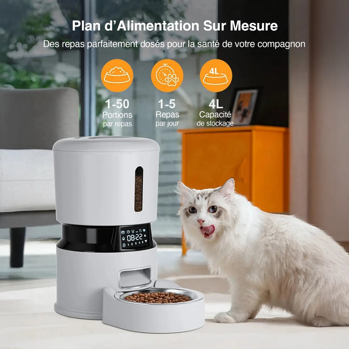 Distributeur automatique de croquettes 4L à écran tactile | Moustache & Cie Moustache & Cie