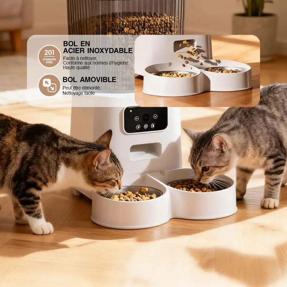 Distributeur Automatique de Croquettes Connecté avec Caméra — Réservoir 5L, Programmable, Acier Inoxydable Moustache & Cie